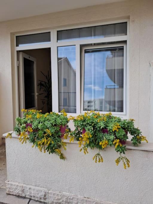 Holiday Home Apartment Budva Eksteriør billede